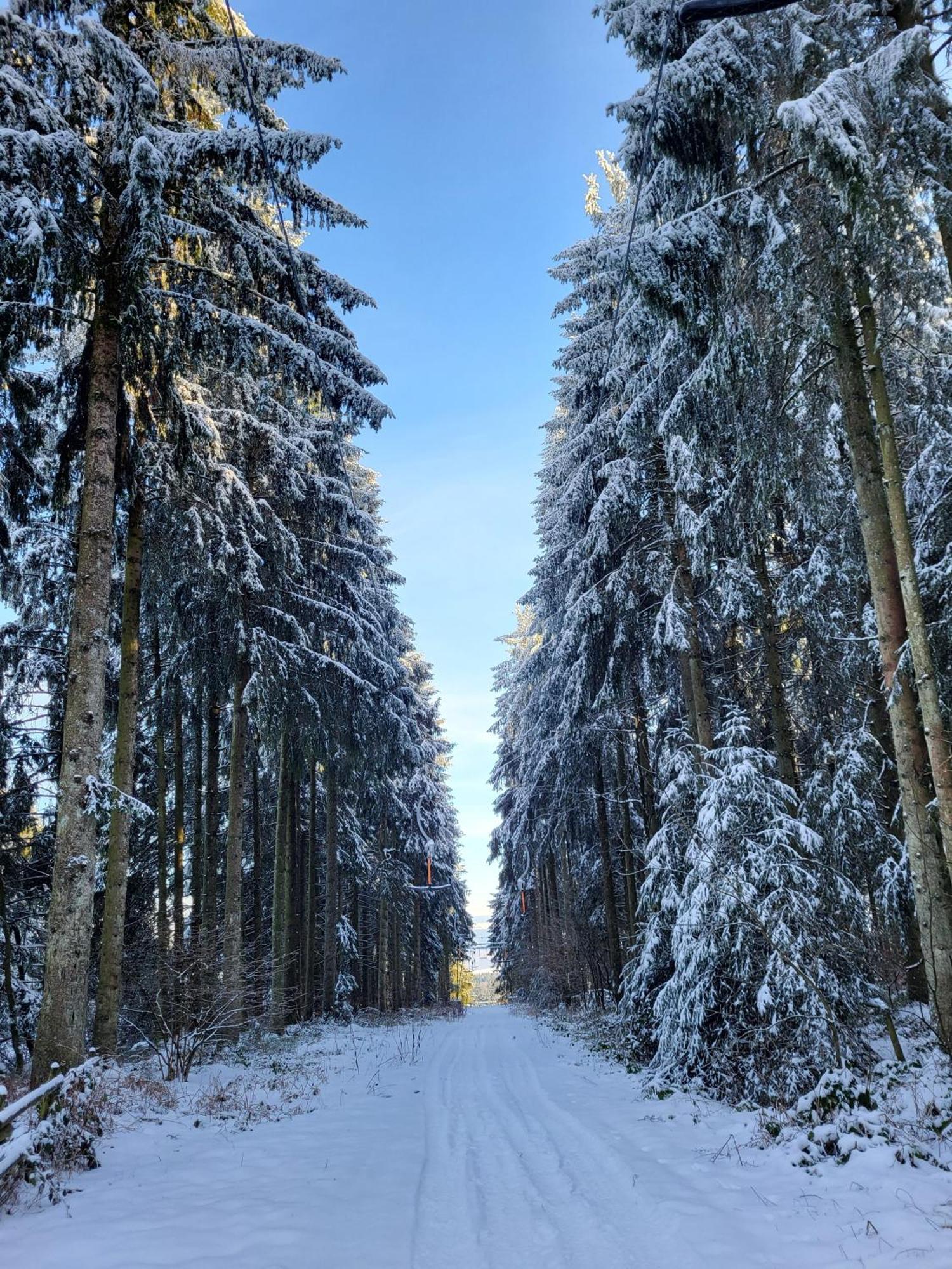 Die Alte Schule Haeuschen St. Vith Екстер'єр фото